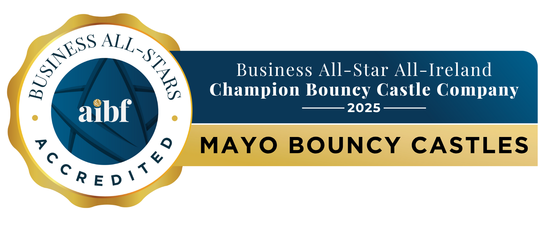 Business All-Star All-Ireland Champion Bouncy Castle Company 2025
